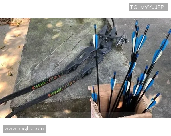 武汉攀岩队战术对比深度解析与未来发展趋势探讨