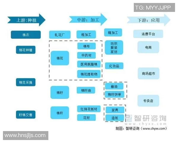 棉农独立分析：探讨棉花产业链中的挑战与机遇